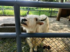 -长白岛森林公园