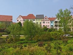 -大塘金香草谷