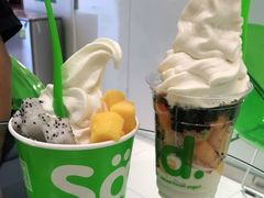 -Salud撒露欧洲冻酸奶(蓝色港湾店)