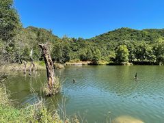 -玉渡山自然风景区