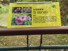 -吴淞炮台湾湿地森林公园烧烤区