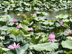 -苏州吴中太湖旅游区