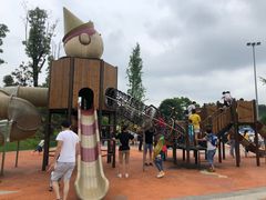 -枫香湖儿童公园