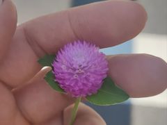 -肯德基(中心书城店)