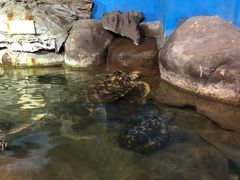 -厦门海底世界