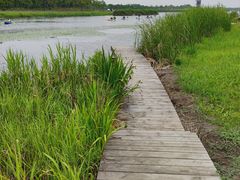 -春花秋色城市公园