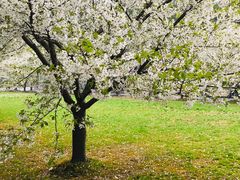 -同济大学(嘉定校区)