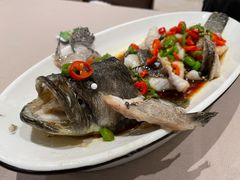 鲜花椒龙趸鱼-尚一汤·粤菜海鲜(环球港店)