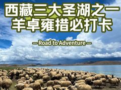 -羊卓雍措
