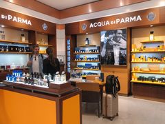 -米兰马尔彭萨国际机场