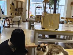 -藏猫猫咖啡主题馆(中央大道店)