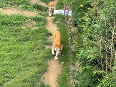 -济南野生动物世界