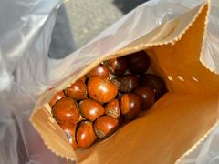 -高记福桂桂花糖炒栗(鼓楼店)