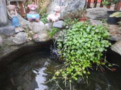 -三溪村