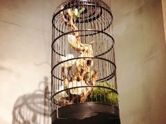 -水木苼 蔬食料理