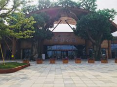 -杭州开元森泊度假乐园