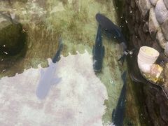 -耕渔小院·湖南鱼鲜(望城店)