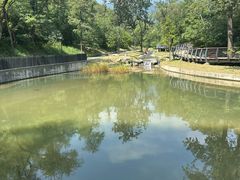 -白水寺森林公园