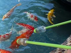 -杭州野生动物世界