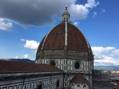 -圣母百花大教堂穹顶