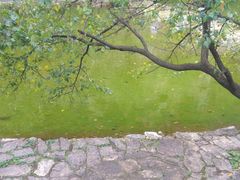 -沕沕水生态风景区