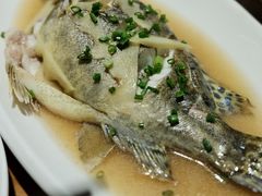 清蒸鳜鱼-WILDS 野有食(碧坞店)