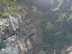 -广州白江湖森林公园