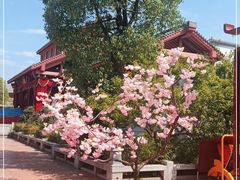 -芜湖方特东方神画