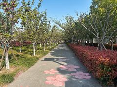 -高东镇樱花园