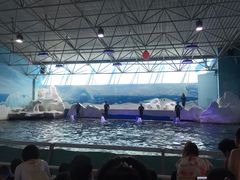 -秦皇岛乐岛海洋王国