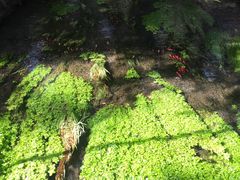 -水磨沟公园