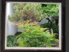 -杭州植物园