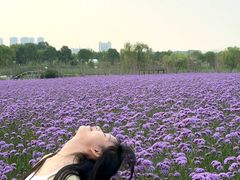 -花博汇(知音花月夜)