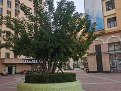 -恒华国际影城(顺义店)