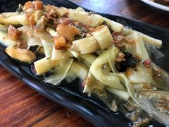 -明潭茶老爸