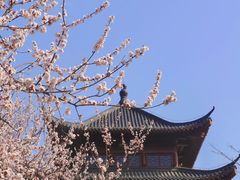 -堤角公园