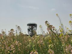 -中国天府农业博览园