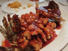 -洋洋中餐馆·SINCE 1997(龙湖星湖天街店)