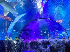 -沈阳海洋探索中心