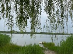-水西公园