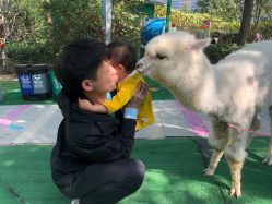 -萌宠亲子动物乐园(槐房万达店)