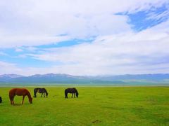 -祁连山草原