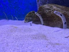 -厦门海底世界