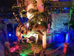 -恐龙探索乐园(磁器口店)