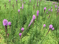 -北京宽沟会议中心