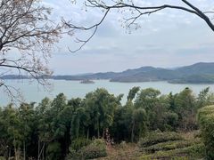 -天目湖涵田半山温泉