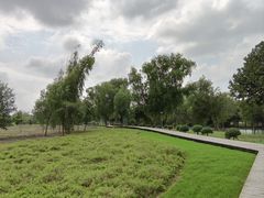 -长广溪湿地公园
