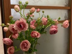 -双季花艺园艺市场(浦东店)
