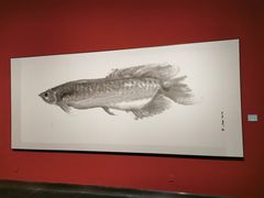 -江苏省美术馆(长江路新馆)