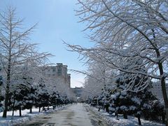 -沈阳药科大学